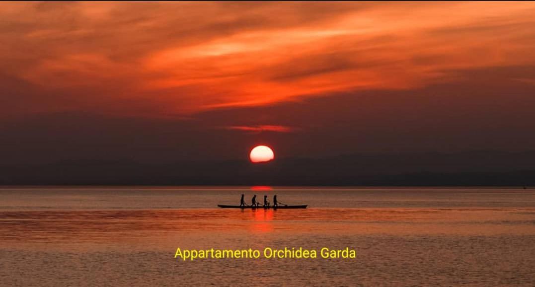 Appartamento Orchidea Garda Garda  Exterior foto